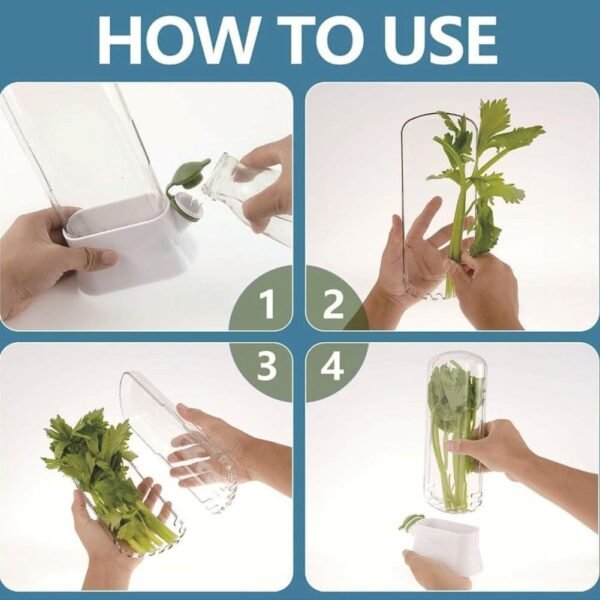 Hydro-Fresh Veggie Keeper - Image 11