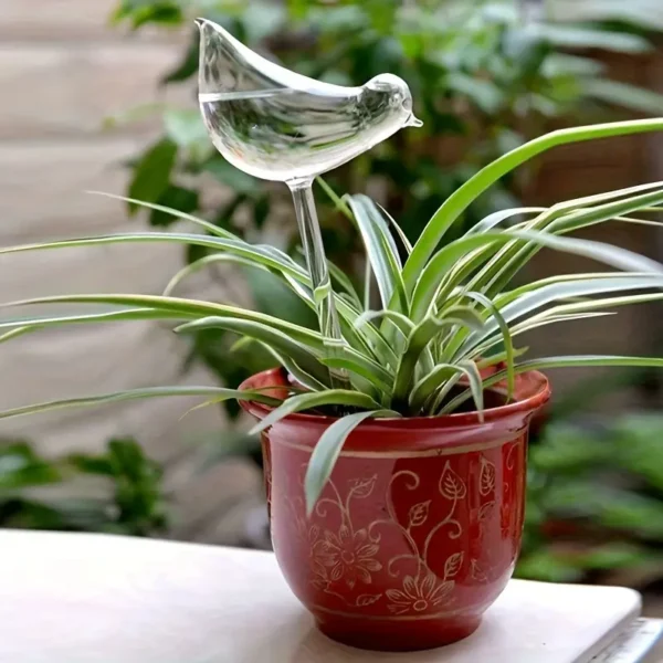 Decorative Plant Care Self Watering Glass Bulbs