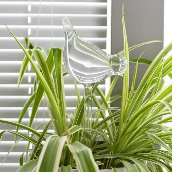 Decorative Plant Care Self Watering Glass Bulbs - Image 3