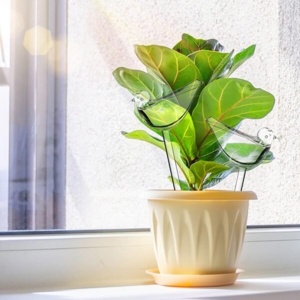 Decorative Plant Care Self Watering Glass Bulbs - Image 6