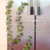 3D Climbing Vine Fridge Magnets, English Ivy & Morning Glory