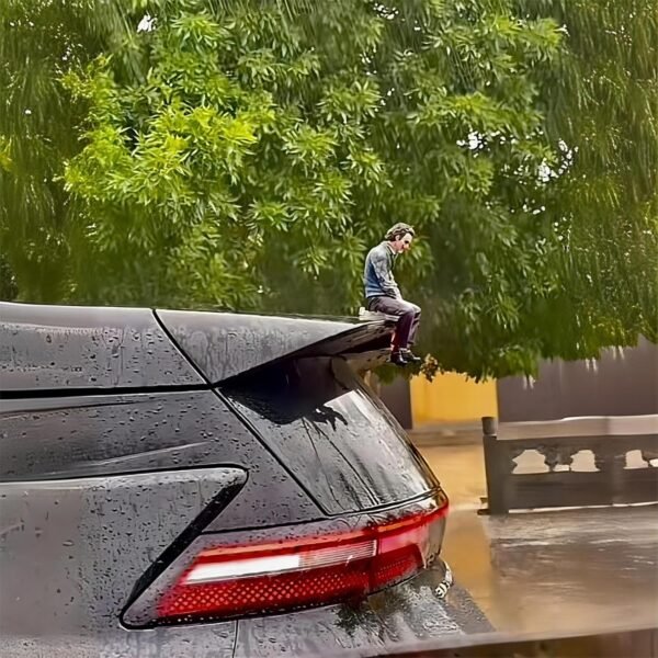 Hot Trend Decor Evil Joker Car Ornament - Image 3