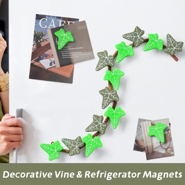 3D Climbing Vine Fridge Magnets, English Ivy & Morning Glory - Image 3