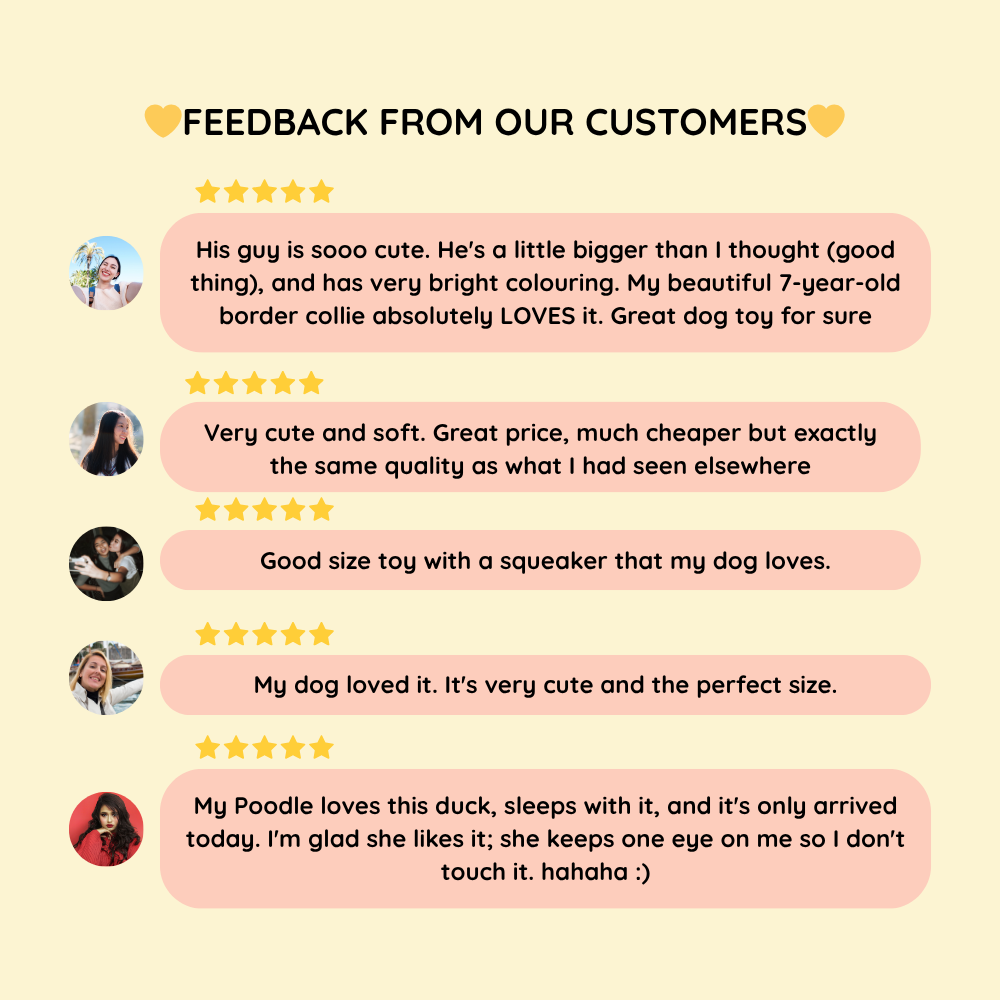 🔥 Last Day Sale 50% OFF 🐶 Best Friend Calming Duck Toy For Dogs - Image 11