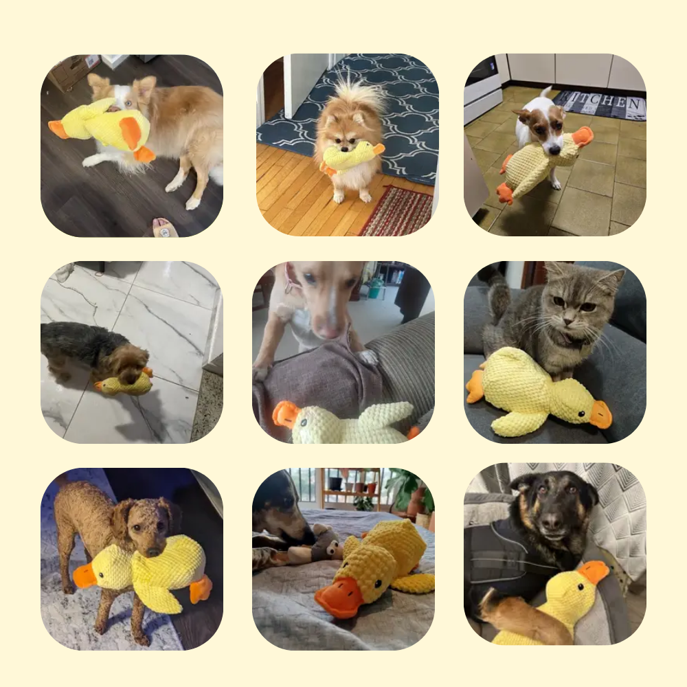 🔥 Last Day Sale 50% OFF 🐶 Best Friend Calming Duck Toy For Dogs - Image 12