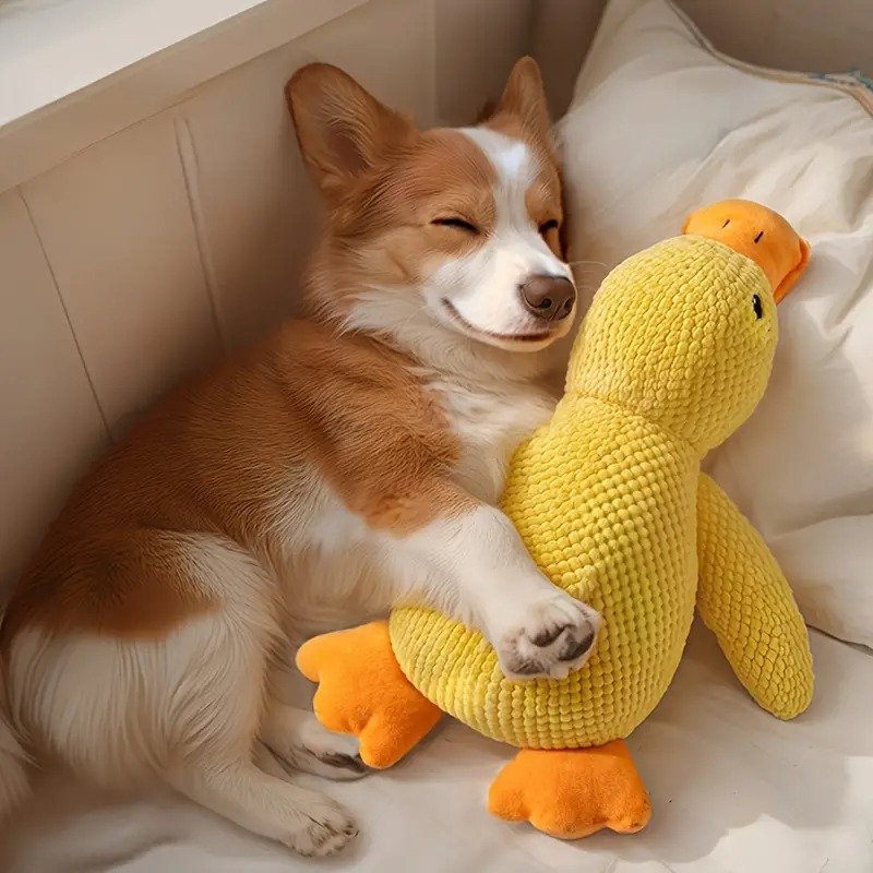 🔥 Last Day Sale 50% OFF 🐶 Best Friend Calming Duck Toy For Dogs - Image 3