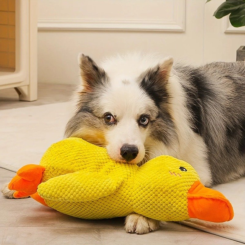 🔥 Last Day Sale 50% OFF 🐶 Best Friend Calming Duck Toy For Dogs - Image 4