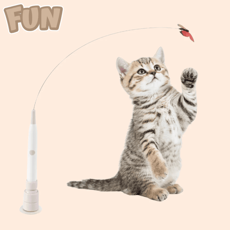 Butterfly Chasing Electric Cat Toy