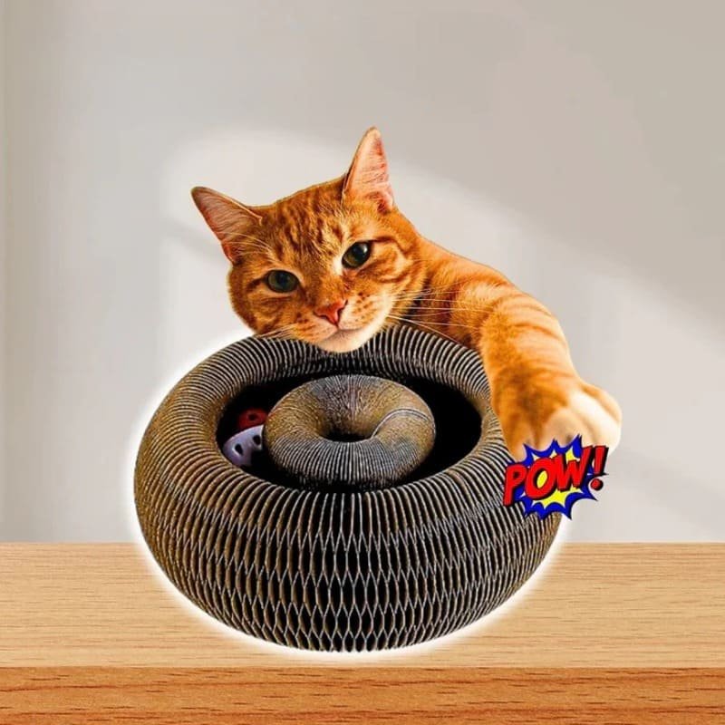 Honeycomb Cat Scratching Board for Claw Grinding & Play - Image 10