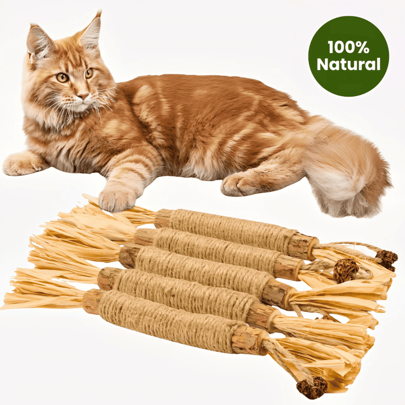 Natural Cat Chew Silvervine Dental Sticks