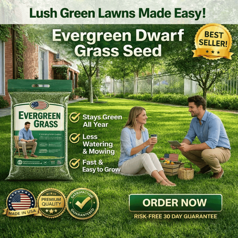 🌱2026 Evergreen Dwarf Grass Seed for Four Seasons