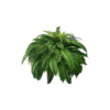 🔥 On Sale Only Today 🌱 UV Resistant Ferns Artificial Plants Large for Planters, Office & Home Decor, Outdoor & Indoor