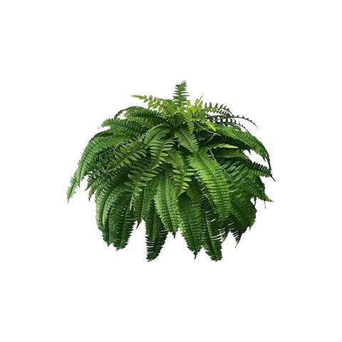 🔥 On Sale Only Today 🌱 UV Resistant Ferns Artificial Plants Large for Planters, Office & Home Decor, Outdoor & Indoor