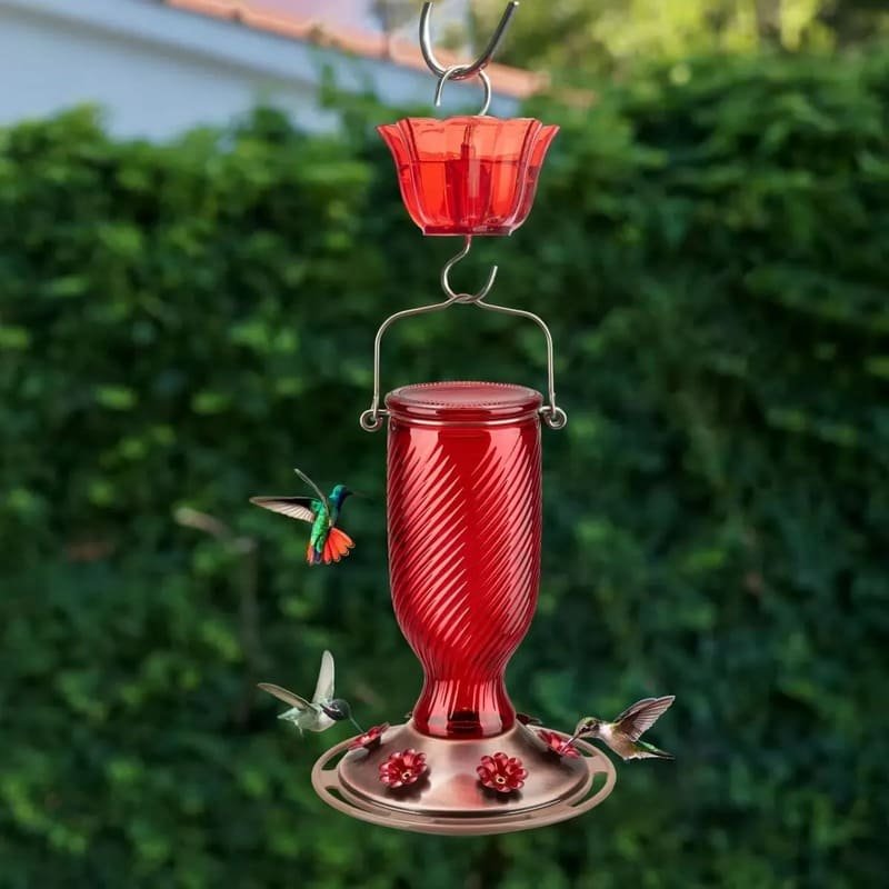 💐 Mother's Day Pre Sale 49% OFF 🐦24oz Glass Hummingbird Feeder with Ant Moat