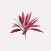 🏆Summer Sale-50%OFF⚡ 50K+ SOLD!🔥 Artificial Tropical Plant