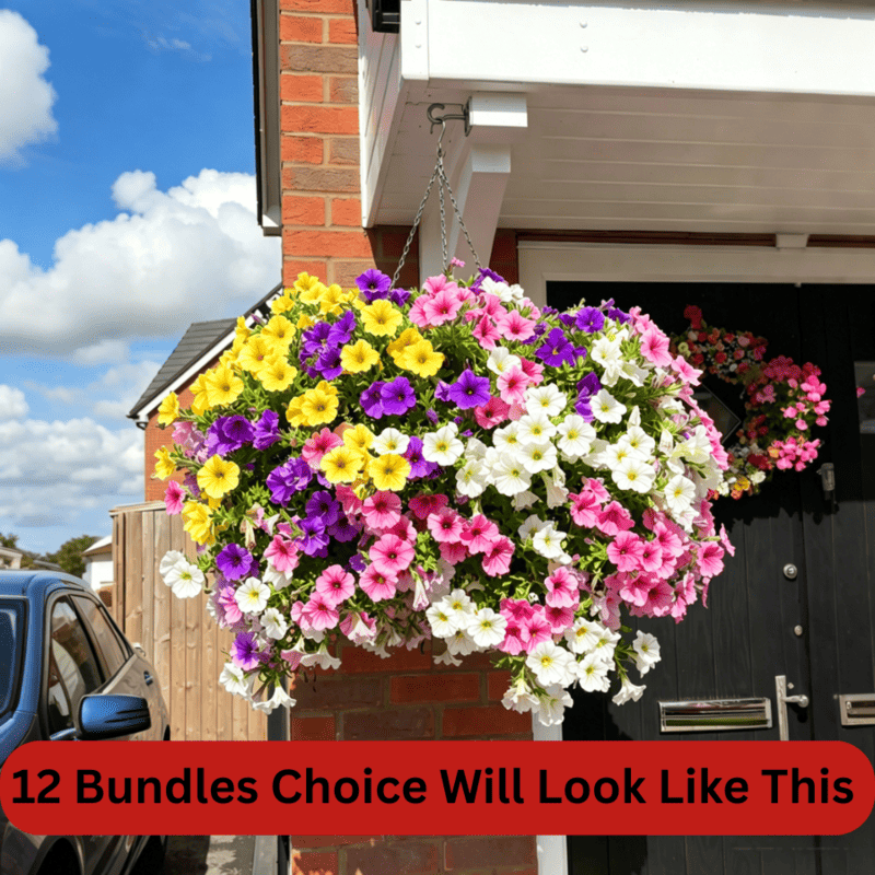 🏆2026 Super Value Set🔥UV Resistant Artificial Petunias Flowers - Image 11