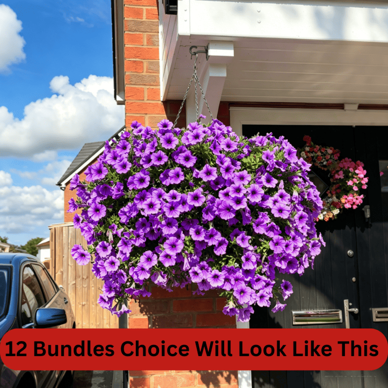 🏆2026 Super Value Set🔥UV Resistant Artificial Petunias Flowers - Image 14