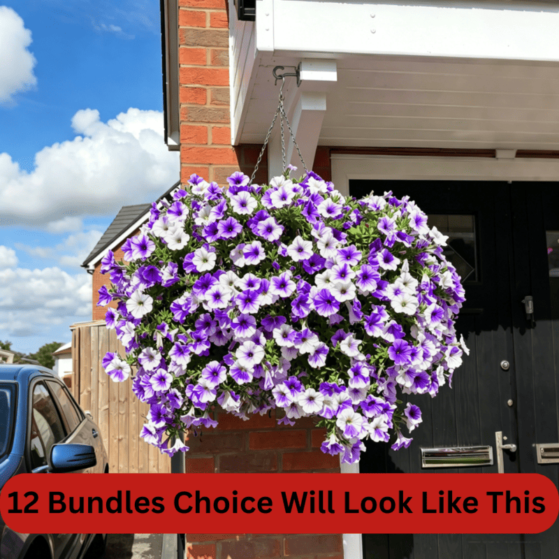 🏆2026 Super Value Set🔥UV Resistant Artificial Petunias Flowers - Image 15