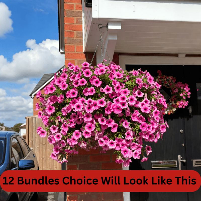 🏆2026 Super Value Set🔥UV Resistant Artificial Petunias Flowers
