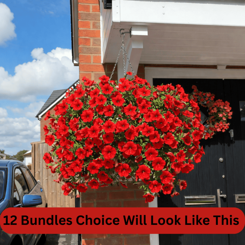 🏆2026 Super Value Set🔥UV Resistant Artificial Petunias Flowers - Image 16
